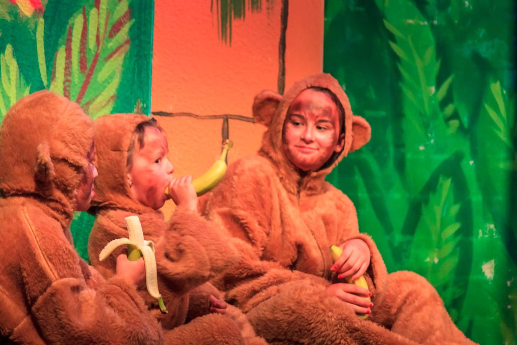 Das Dschungelbuch (Musical) – Foto 4