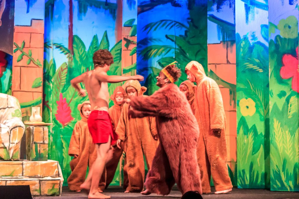 Das Dschungelbuch (Musical) – Foto 6