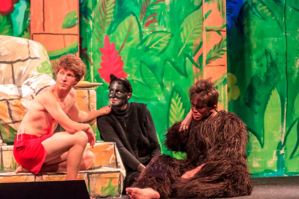 Das Dschungelbuch (Musical) – Foto 28