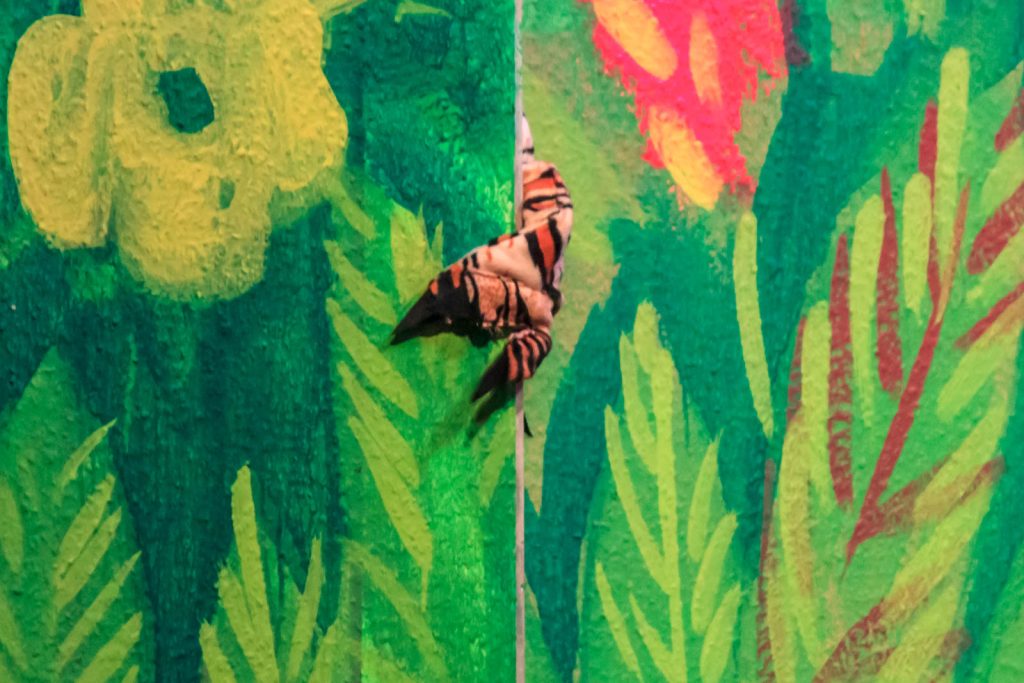 Das Dschungelbuch (Musical) – Foto 34
