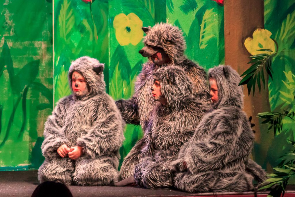 Das Dschungelbuch (Musical) – Foto 41