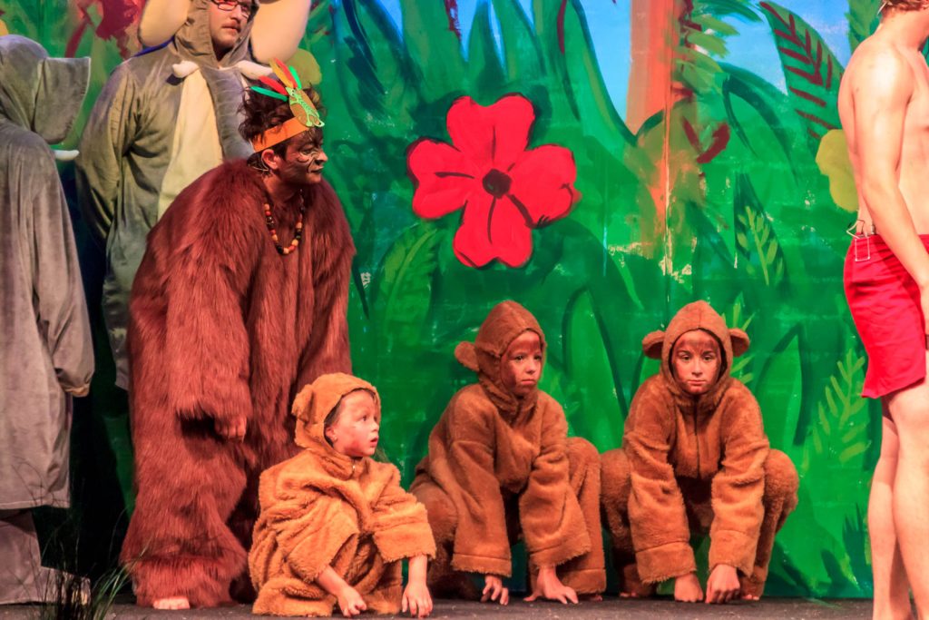 Das Dschungelbuch (Musical) – Foto 48