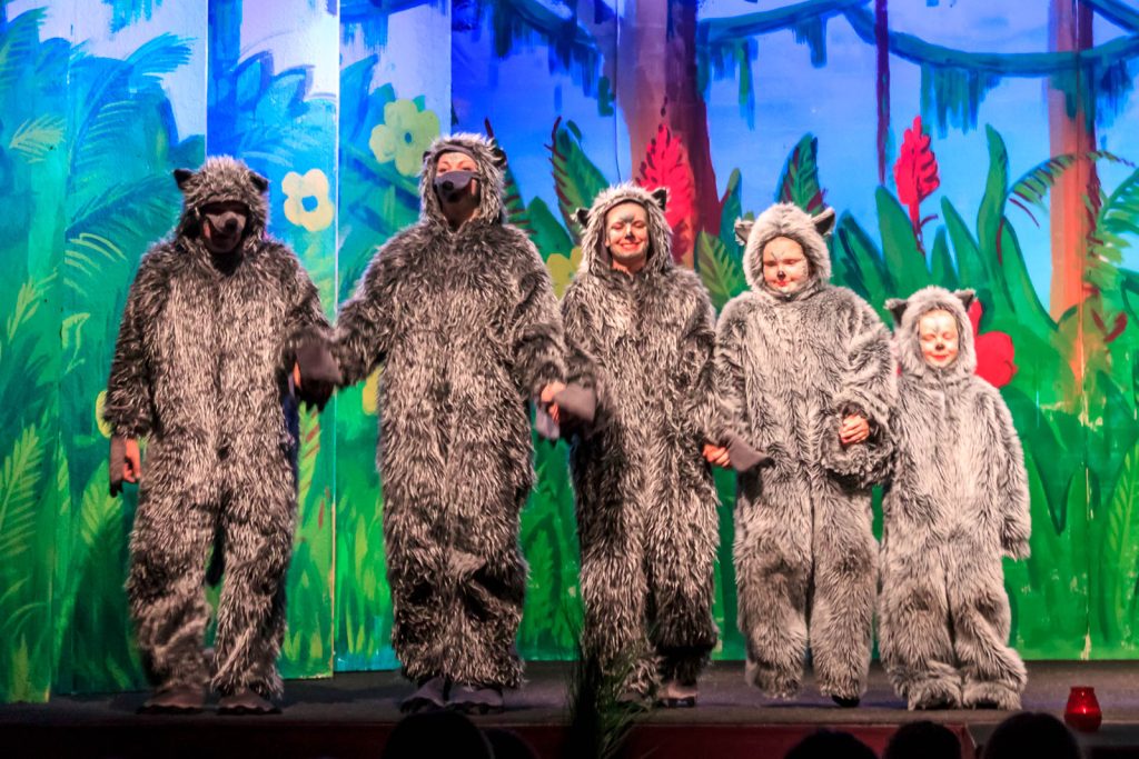 Das Dschungelbuch (Musical) – Foto 59