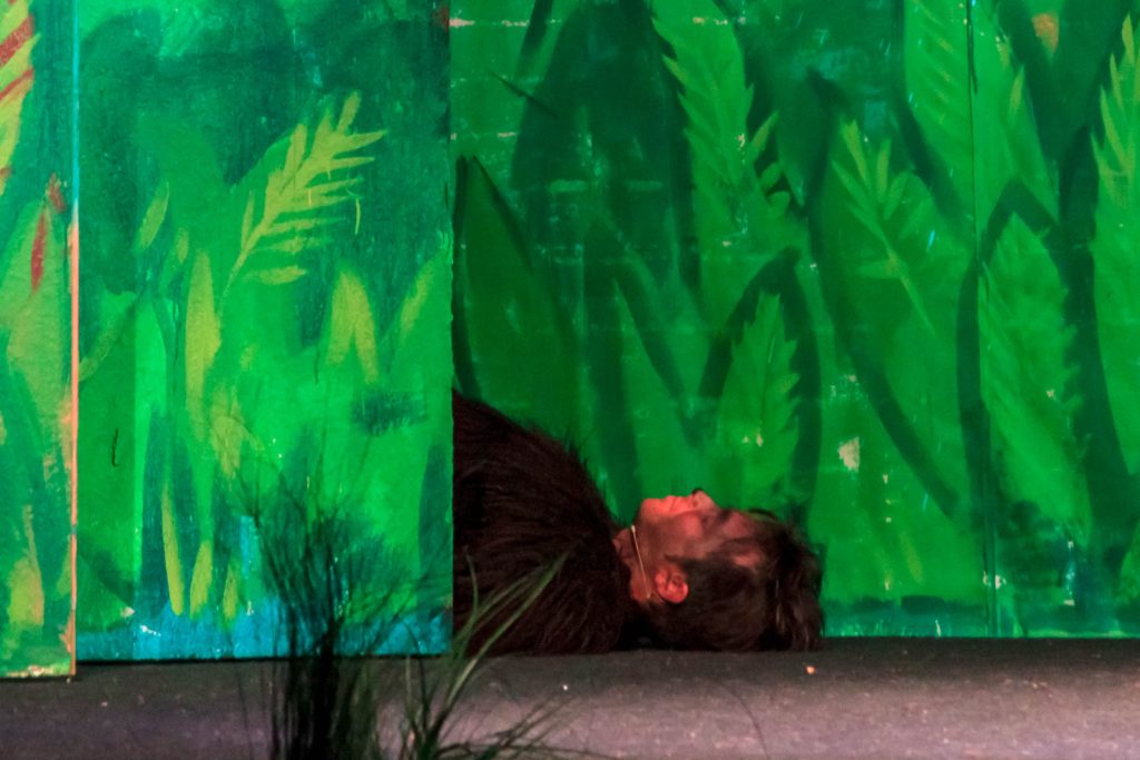 Das Dschungelbuch (Musical) – Foto 1